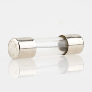 1,6A Feinsicherung 5x20mm 250V 1600mA flink
