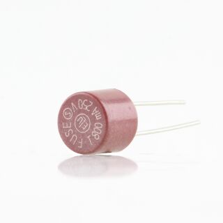 0,8A TR5 250V Feinsicherung träge 7.3x8.3mm