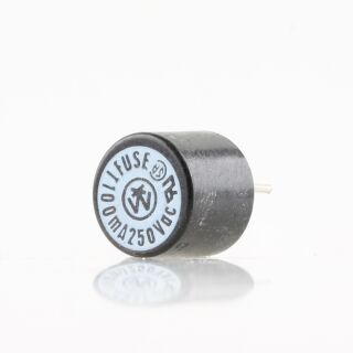 0,1A TR5 250V Feinsicherung träge 7.3x8.3mm