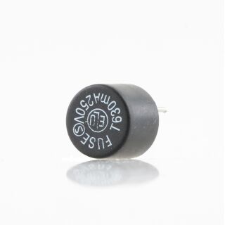 0,63A TR5 250V Feinsicherung träge 7.3x8.3mm